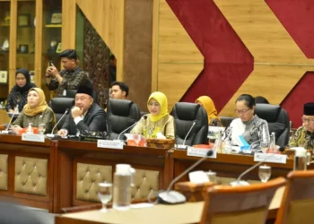 Jejak advokasi ke Komisi X DPR RI
